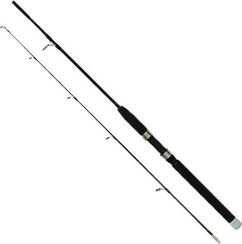Remixon Fanatic 10 Serisi 240 cm 4-10 lbs 2 Parçalı Olta Kamışı