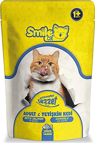 Smile Cat Pouch 100 gr Somonlu Kedi Mamas Fiyatlar zellikleri