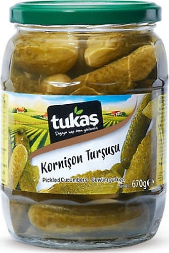 TUKAŞ KORNİŞON TURŞU 670G