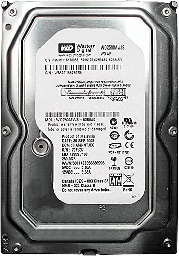 Western Digital 250 GB WD2500AVJS 3.5" 7200 Rpm SATA 3.0 Harddisk